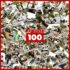 Boi Nitro – 100