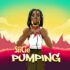 Siicie – Pumping