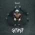 Vicoka – Spirit (EP-Album)
